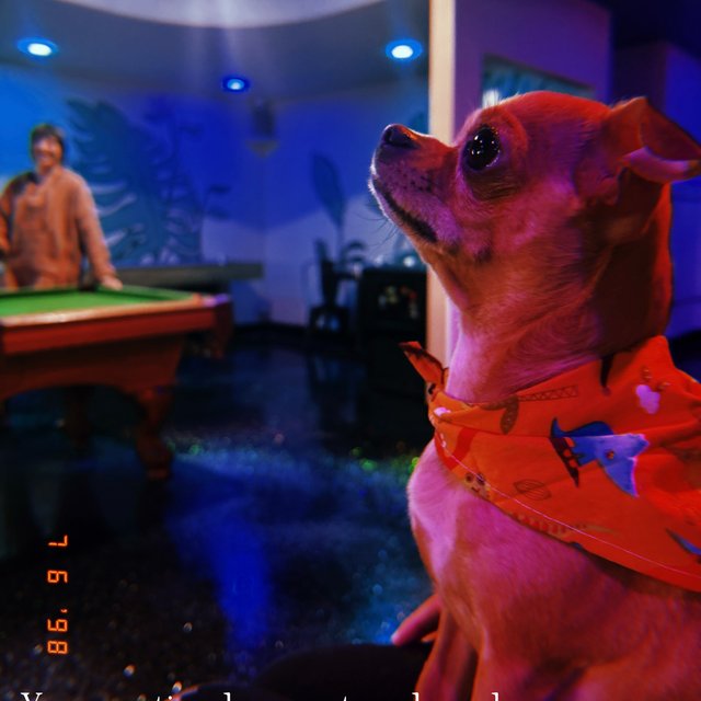 Kava and Co Instagram post